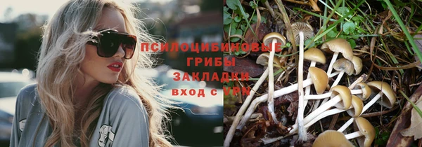MESCALINE Корсаков